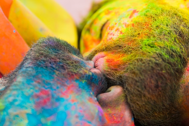 Kissing soiled gays in Holi powder 