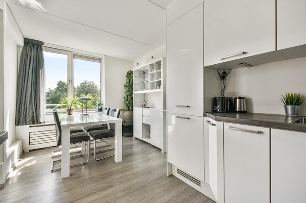 Kitchen and the dining room of a modern apartment