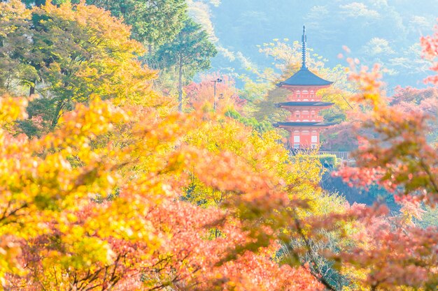 Kiyomizu dera temple in Kyoto at Japan