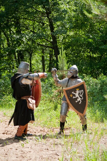 knights in armor is fighting