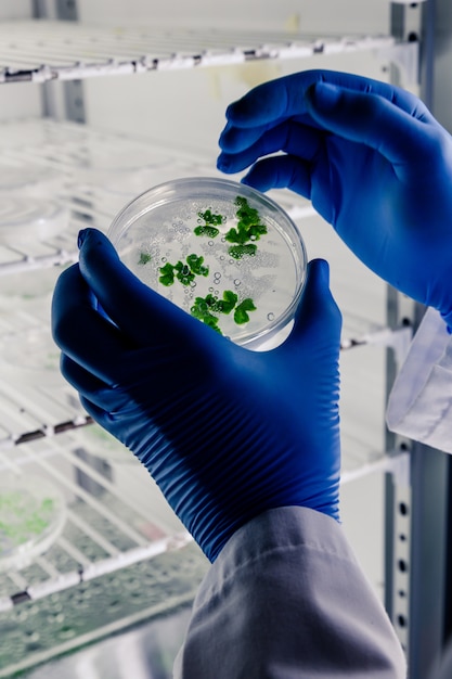 Free photo laboratory worker examining a substance on a petri dish while conducting research