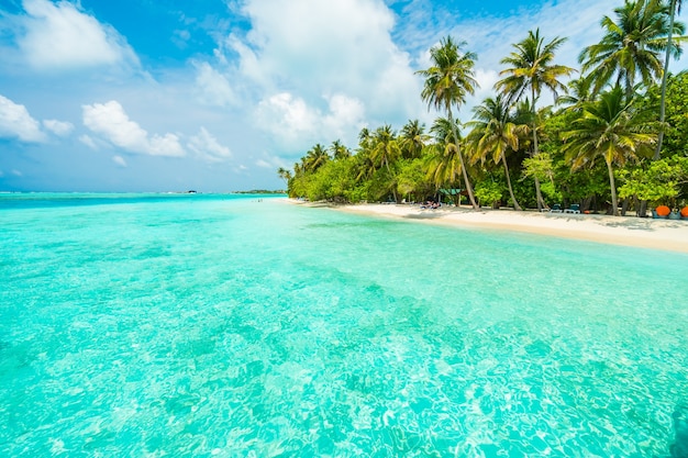 lagoon white ocean summer sand