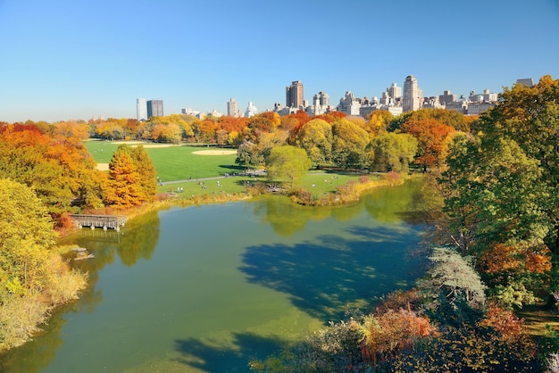 Free photo lake and autumn foliage with apartment buildings in central park of midtown manhattan new york city