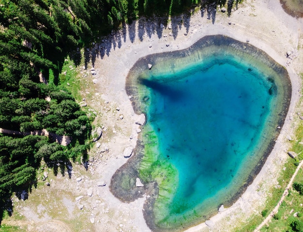 Free Photo lake of carezza in the dolomite alps in italy