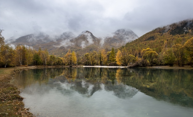 Free photo lake and a forest in the autumn with a foggy sky