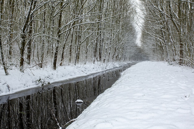 Lake in the middle of snowy fields with trees covered in snow