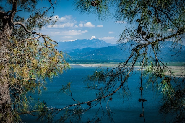 Lake and mountains seen through the tree branches