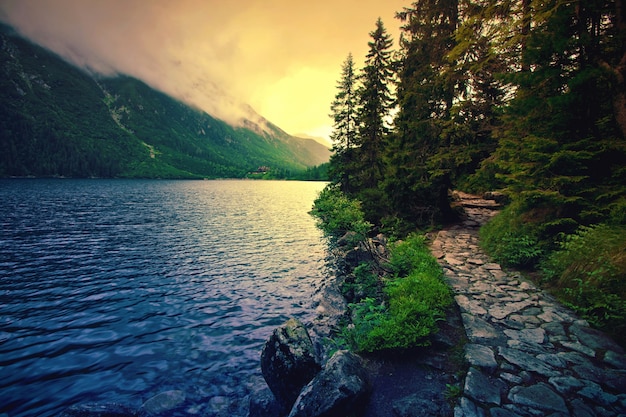 Free photo lake in mountains.