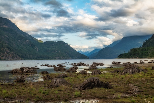 Free Photo lake near mountain