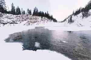 Free photo lake in snowy forest