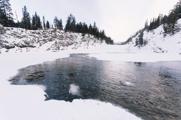 Free Photo lake in snowy forest