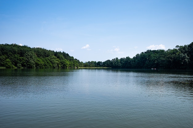 Lake in the summer on a sunny day