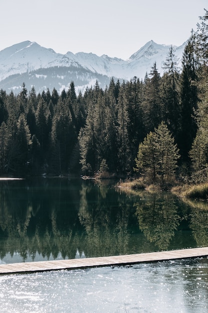 Free Photo lake surrounded by mountains covered in the snow and a forest with trees reflecting on the water