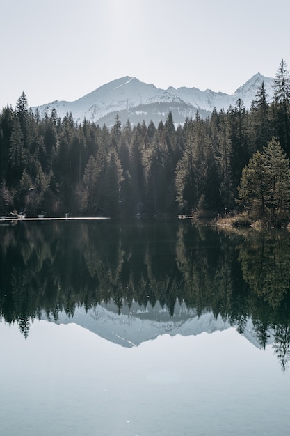 Free photo lake surrounded by mountains and forests with trees reflecting on the water