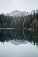 Free photo lake surrounded by mountains and forests with trees reflecting on the water