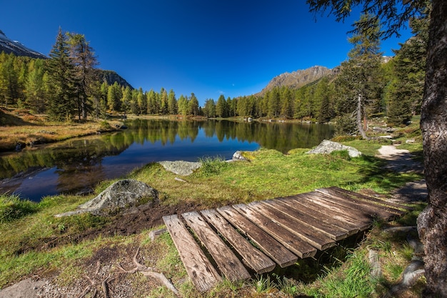 Lake surrounded by rocks and a forest with trees reflecting on the water under a blue sky in Italy