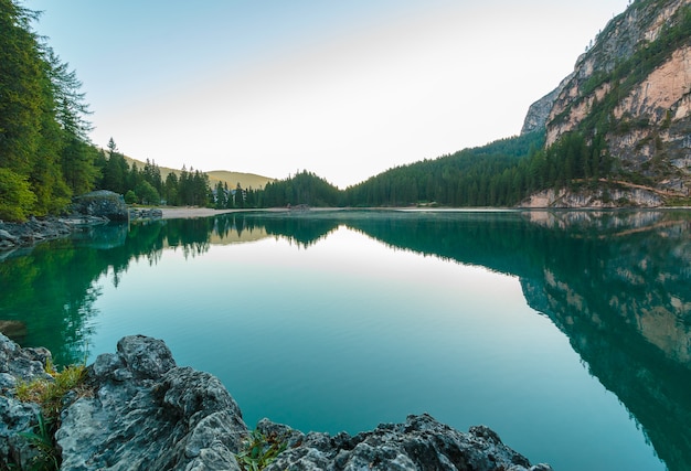 Lake Surrounded by Trees