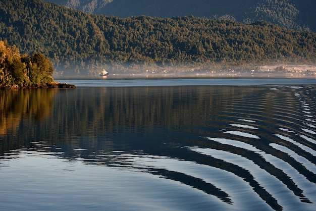 Free Photo lake with reflection on it and a forest