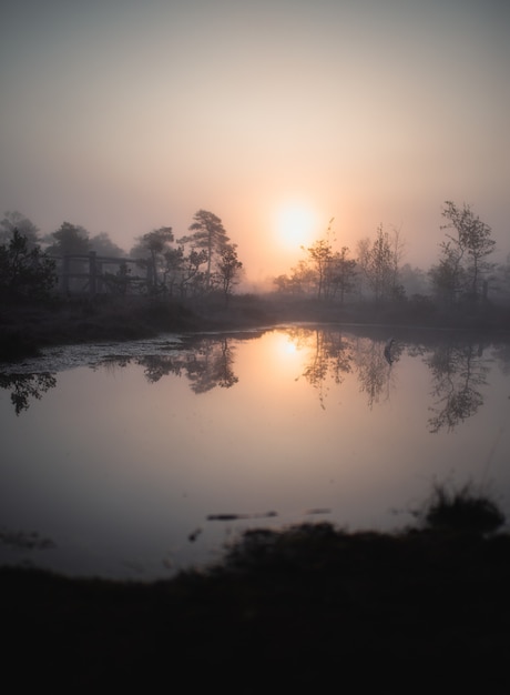 Free photo lake with reflection of the sun with trees around it during sunset