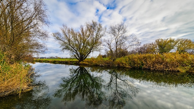 Lake with a reflection of trees during a cloudy day