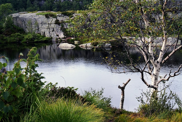 A lake with the reflection of trees surrounded by rock formations in Preikestolen, Norway