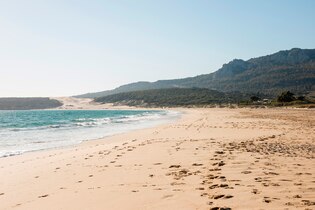 Beach landscape photos