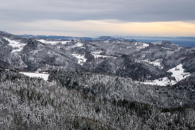 Free photo landscape of black forest mountains covered in the snow during the sunrise in germany