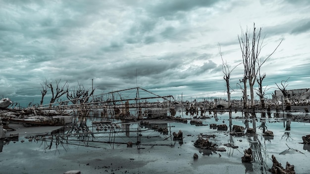 Free Photo landscape of building ruins and bare trees in the water under a cloudy sky on a gloomy day