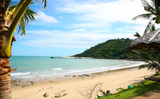 Landscape of a coast