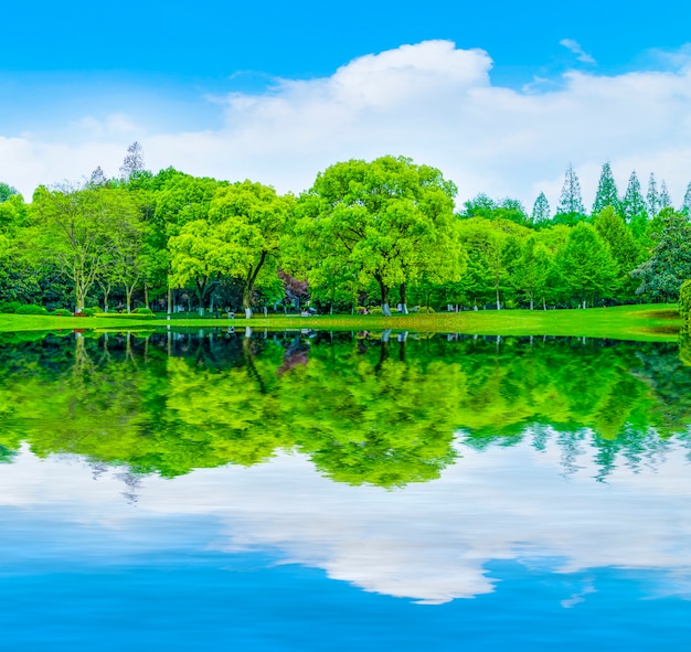 landscape decoration nature reflection mountains lawn