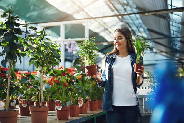 Landscape designer shopping for plants for her client in a greenhouse store