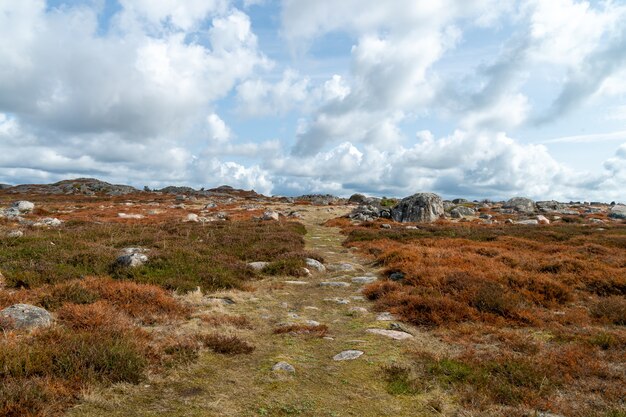 Landscape of a field covered in the grass and rocks under a cloudy sky at daytime