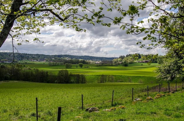 Free photo landscape of a field covered in greenery under a cloudy sky at daytime