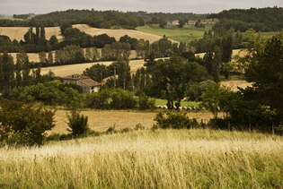 French countryside photos