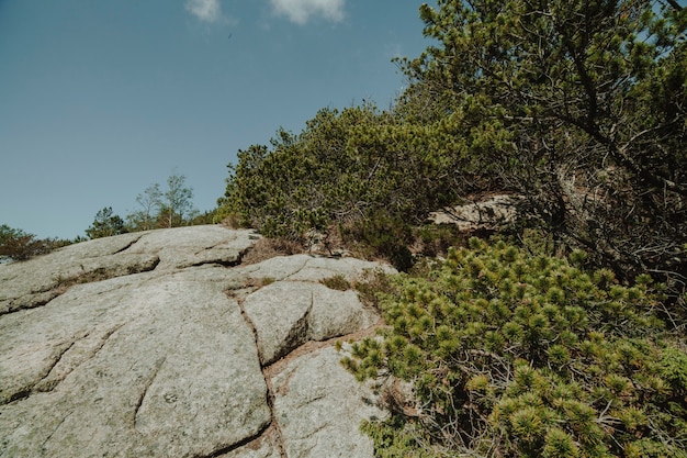 Free photo landscape full of rocky formations