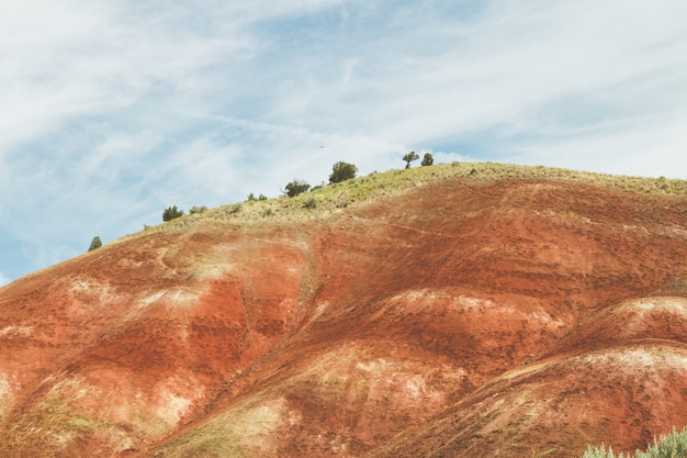 Free photo landscape of a hill covered in red sand and greenery under a blue cloudy sky