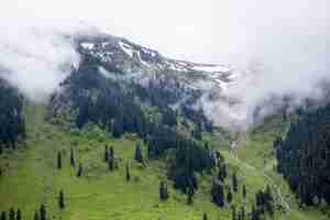 Free photo landscape of hills covered in the fog and forests surrounded by the snow under a cloudy sky