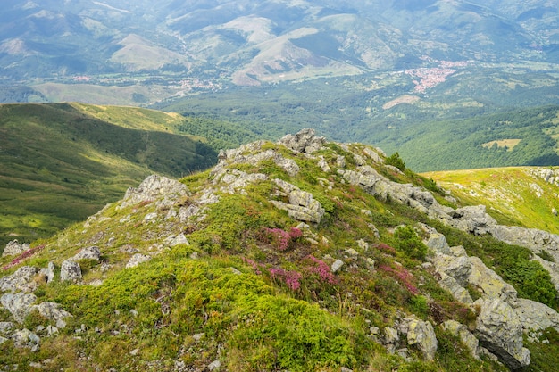 Landscape of hills covered in grass and flowers with mountains under sunlight on the background