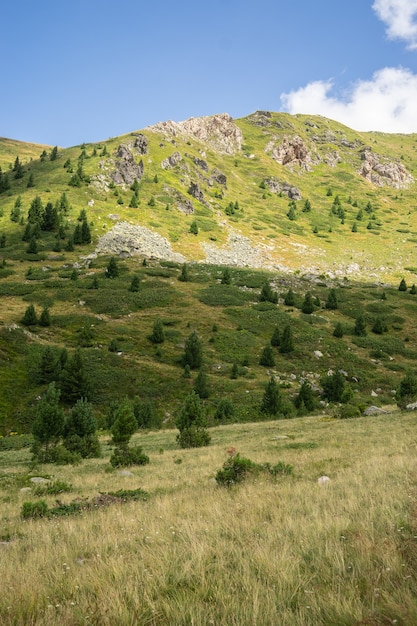 Free Photo landscape of hills covered in grass and trees under a cloudy sky and sunlight during daytime