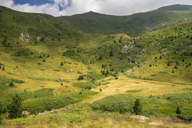 Landscape of hills covered in grass and trees under a cloudy sky and sunlight during daytime