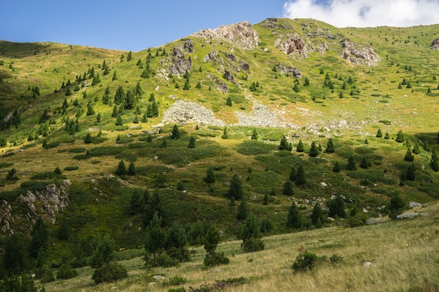 Landscape of hills covered in grass and trees under a cloudy sky and sunlight during daytime