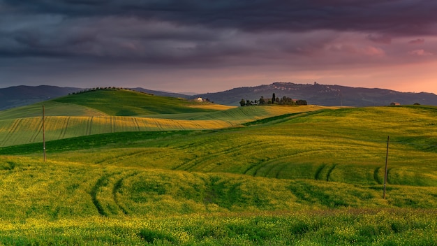 Free Photo landscape of hills covered in greenery during a beautiful sunset