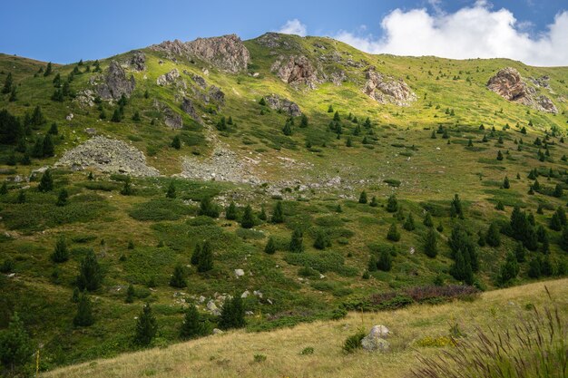 Landscape of hills covered in greenery under a blue sky and sunlight during daytime