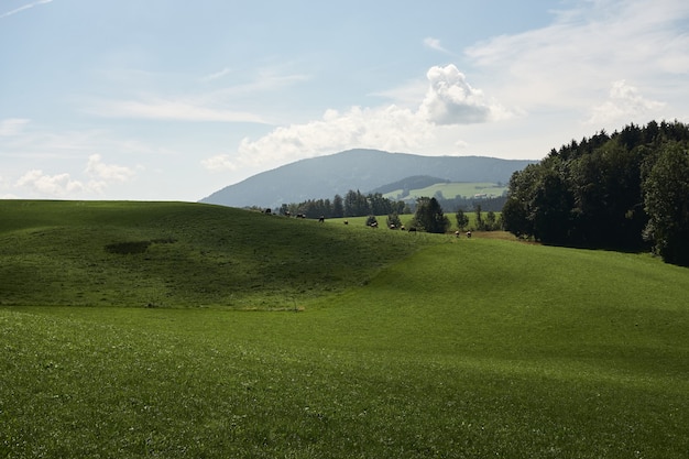 Landscape of hills covered in greenery under the sunlight and a cloudy sky in the countryside