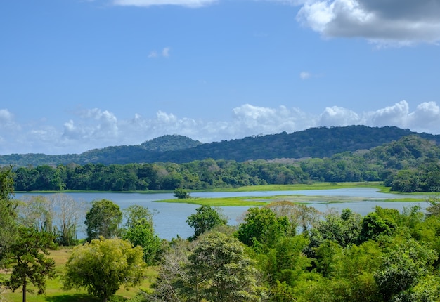 Landscape of a lake surrounded by hills covered in greenery under a blue sky at daytime