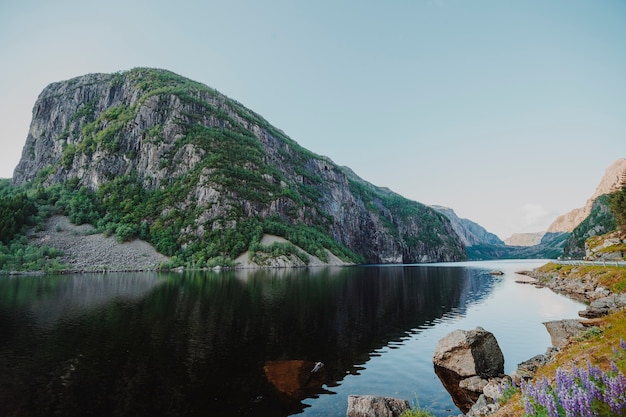 Free Photo landscape of a lake surrounded by mountains