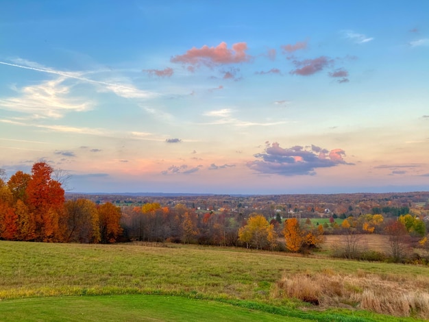 Landscape of meadow with green fields and autumn trees during a sunny day