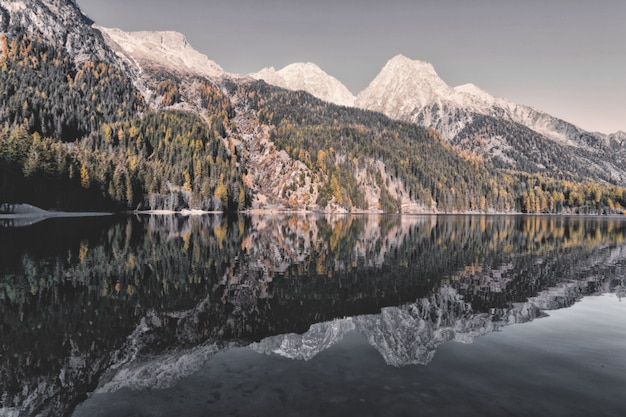 Free Photo landscape of mountain and trees