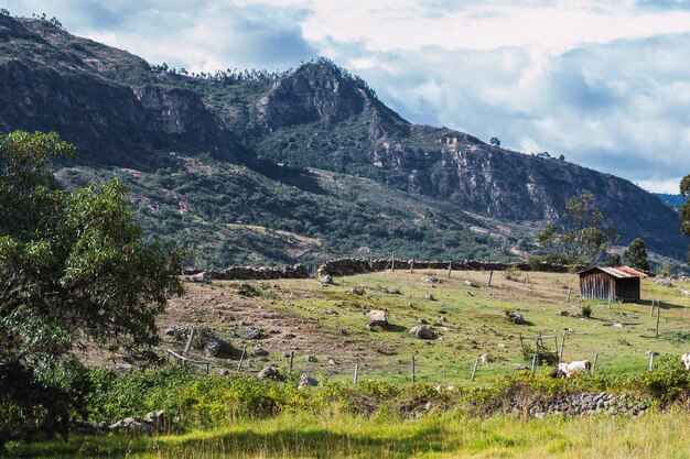 Landscape of a mountain