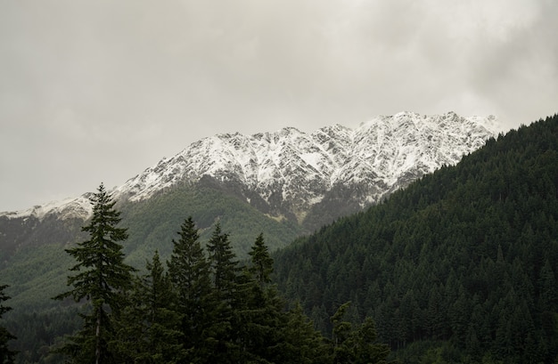 Landscape of mountains covered in forests and snow under a cloudy sky